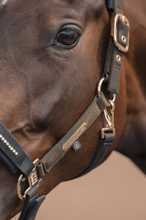 Eskadron Halster Glam Crystal Heritage 
