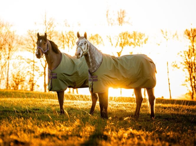 Horseware Amigo Hero Ripstop Lite 0grs Regendeken