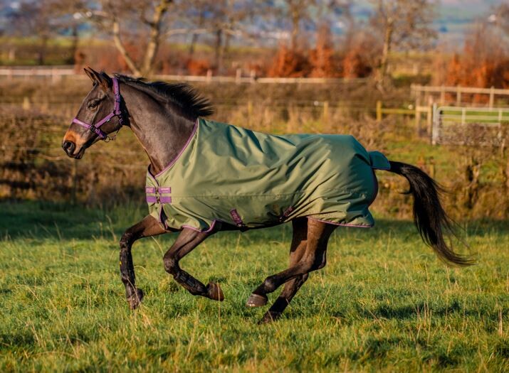 Horseware Amigo Hero Ripstop Lite 0grs Regendeken
