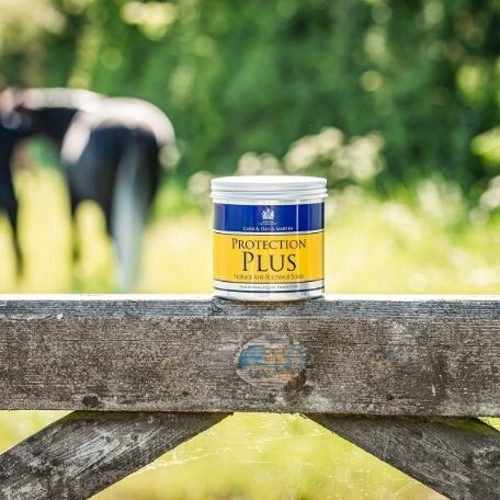 Carr & Day & Martin Protection Plus | 500g