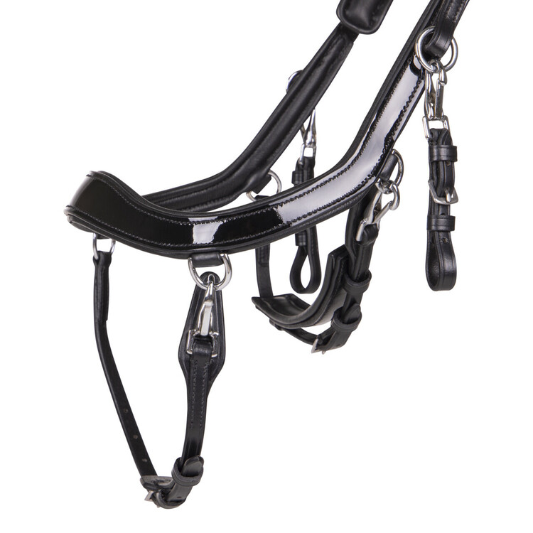 PresTeq Hoofdstel FaySport Shine