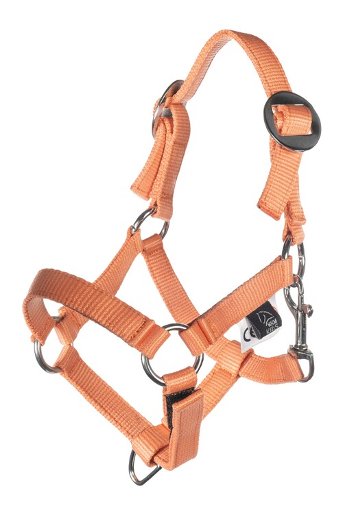 HKM Halster en touw Hobby Horsing Basic