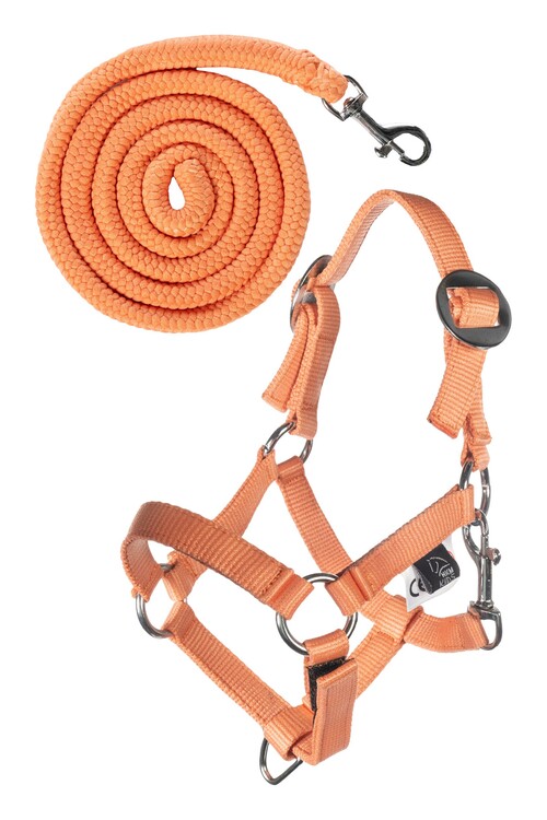 HKM Halster en touw Hobby Horsing Basic