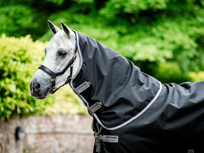 Horseware Amigo Bravo 12 Plus Medium 250grs