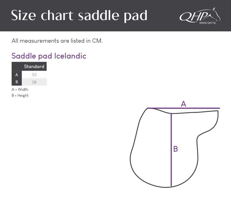 QHP Zadeldek Icelandic