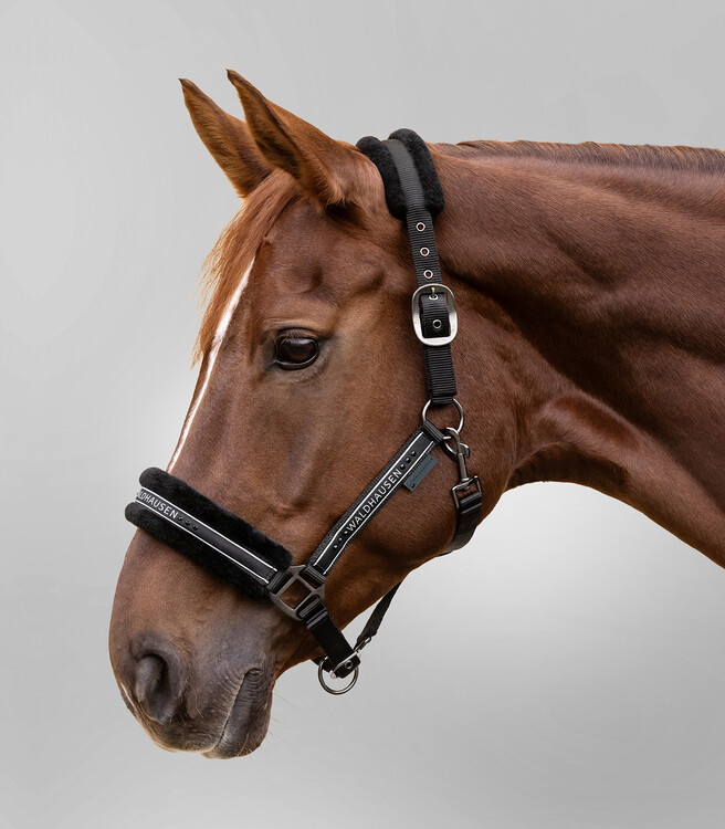Waldhausen Halster Elegant