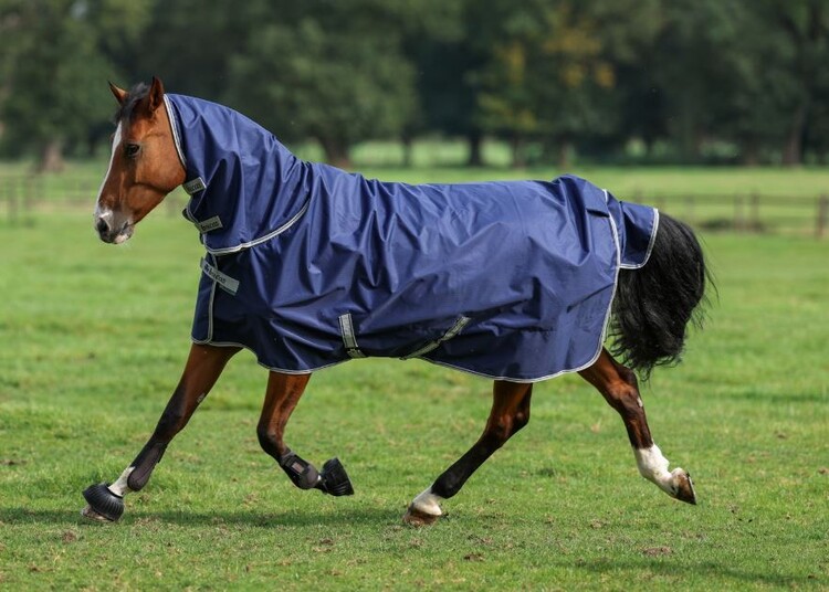 Bucas Freedom Turnout 100gr & neck