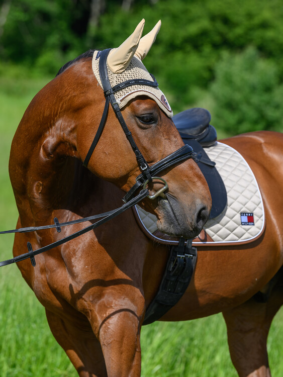 Tommy Hilfiger Oornetje Princeston