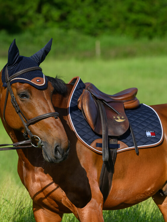 Tommy Hilfiger Oornetje Princeston
