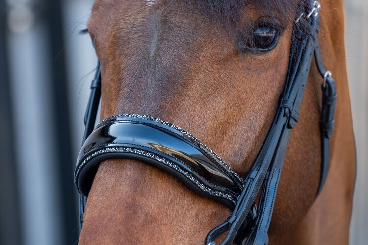HB Showtime Stang & trens hoofdstel One in a million