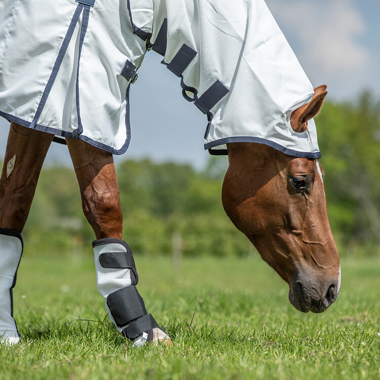 Horsegear Flyboots HGAir Mesh
