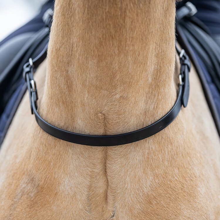 Horsegear Balance Belt