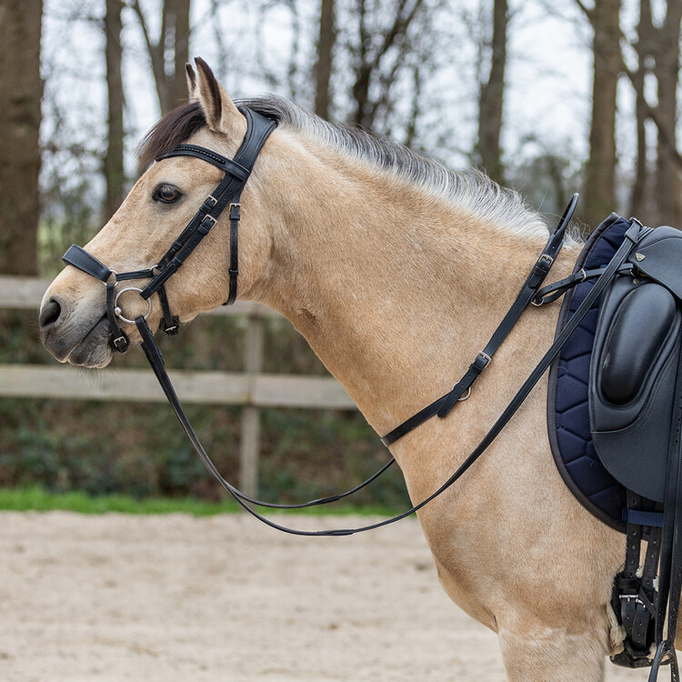 Horsegear Balance Belt
