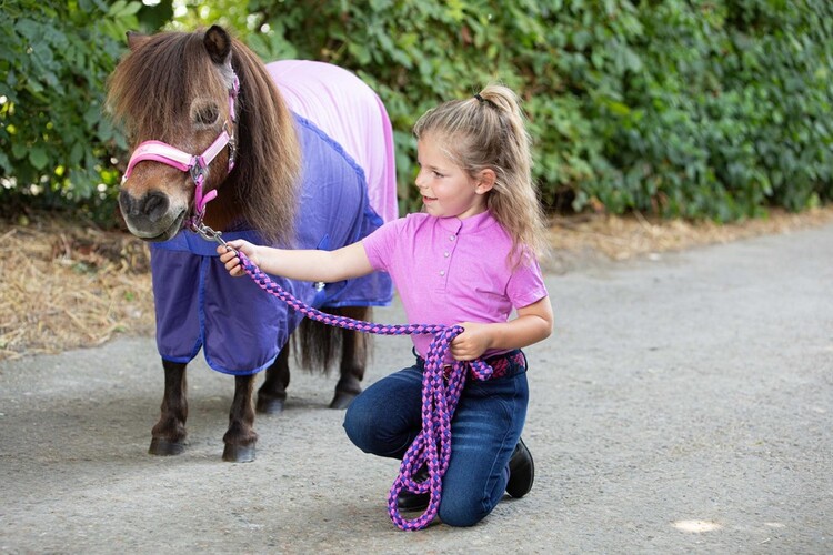 Harry's Horse Vliegendeken Mesh Pro Diva Violet