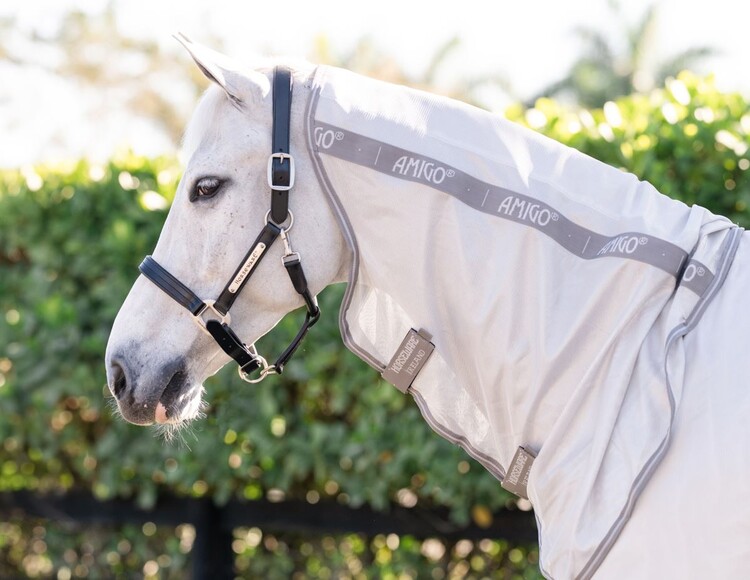Horseware Amigo Integrated Vliegendeken