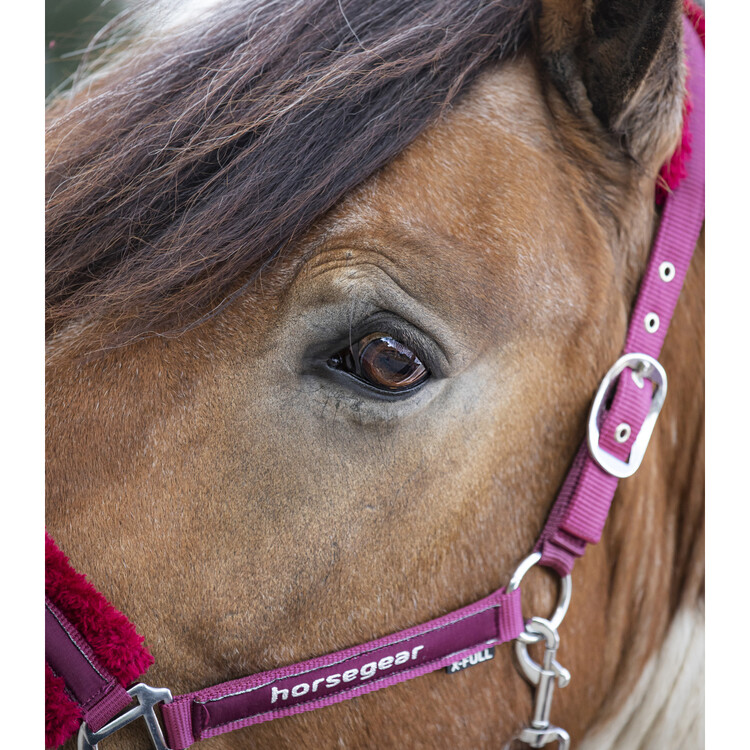 Horsegear Halsterset Reno