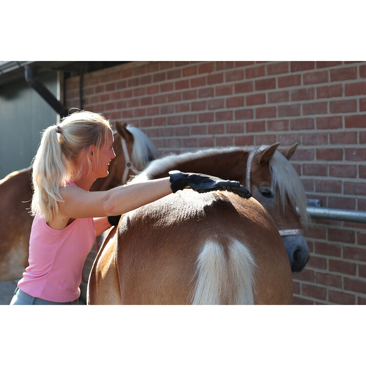 Horsegear Poetshandschoen HGScrub