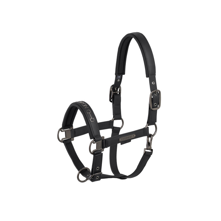 Eskadron Halster Faux Leather Double Pin | Platinum