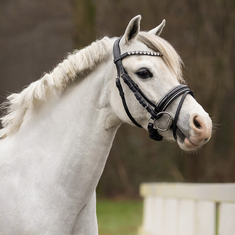 QHP Hoofdstel Bixie