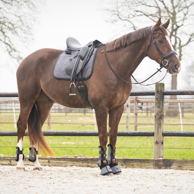 QHP Zadeldek Sensisoft