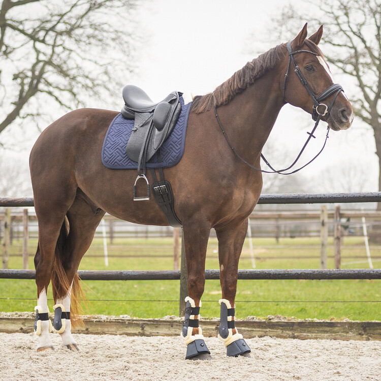 QHP Peesbeschermers Sensisoft