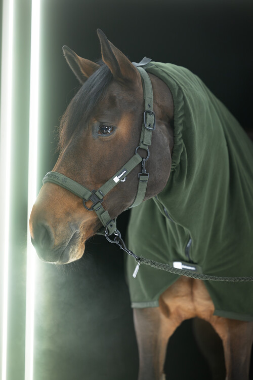 Eskadron Halster Double Pin | Dynamic