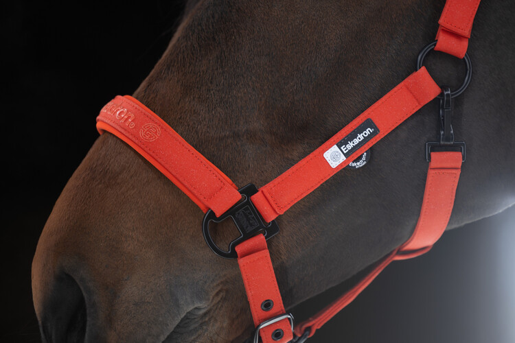 Eskadron Halster Sparkle Double Pin | Dynamic