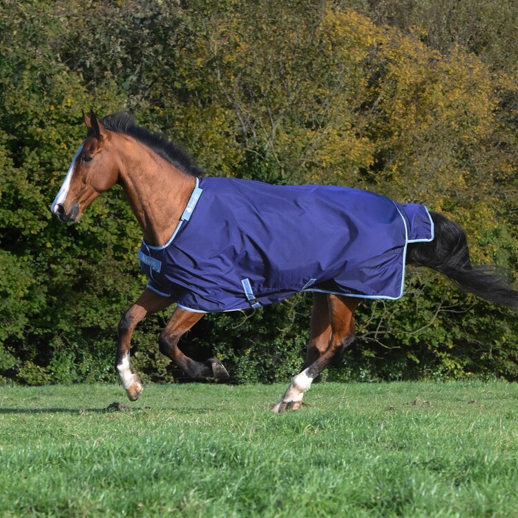 Bucas Regendeken Atlantic Exclusive & Neck