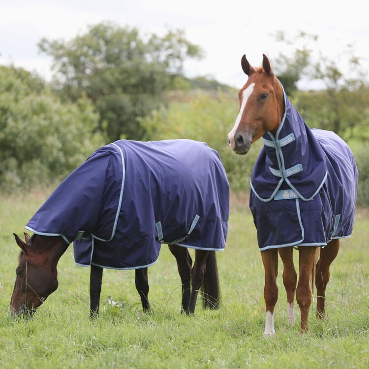 Bucas Regendeken Atlantic Exclusive & Neck