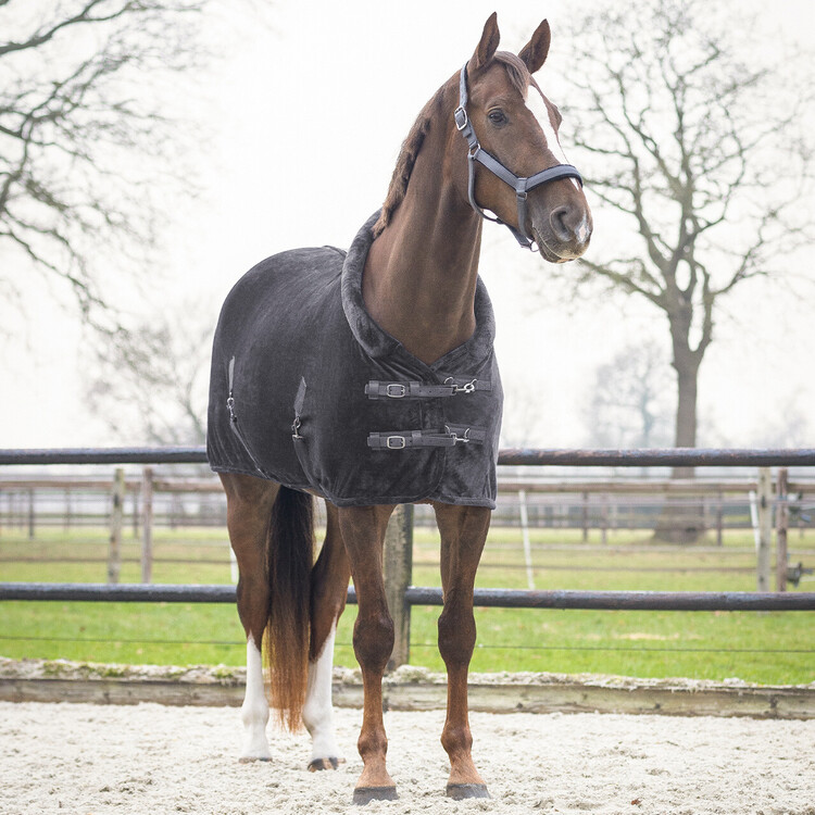 QHP Showdeken Sensisoft