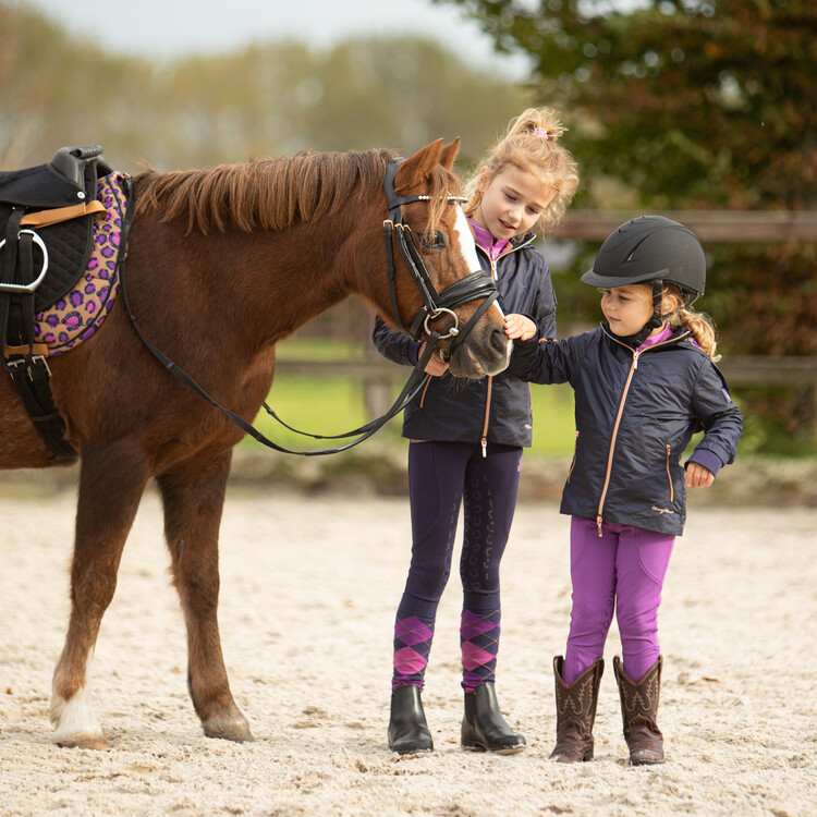 Harry's Horse Jas LouLou Jule