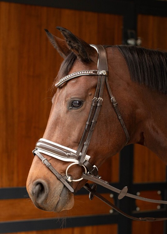 Harry's Horse Hoofdstel Chique
