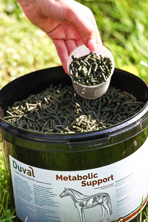 Duval Metabolic Support | 1,5kg