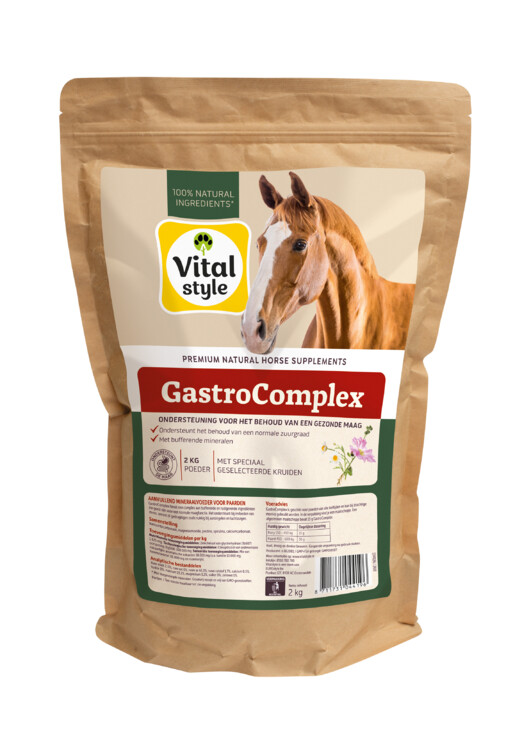 VITALStyle GastroComplex 2kg