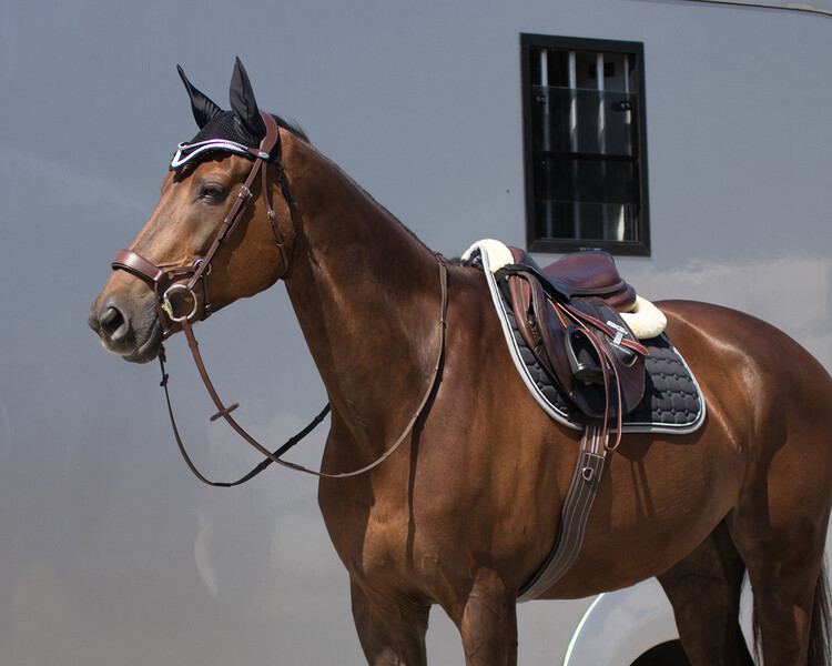 QHP Singel leder met luxe stiksel