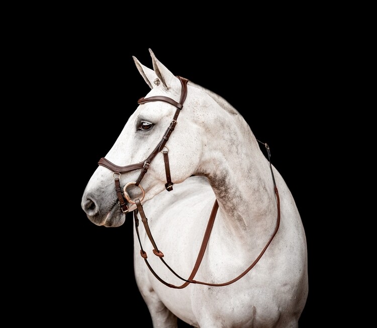 Horseware Micklem 2 Competition hoofdstel