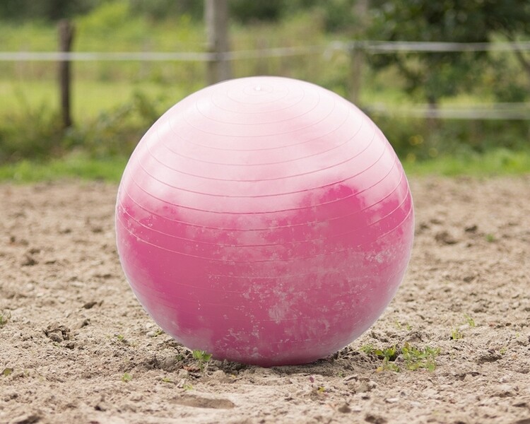 QHP Paardenvoetbal