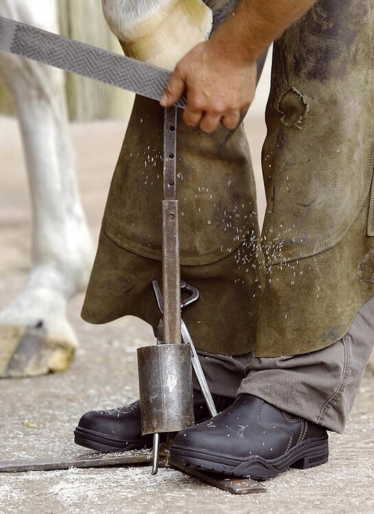 Mountain Horse Protective Jodphur