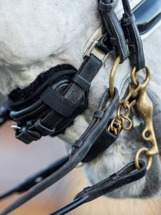 LeMieux Simuwool Neusriem Kin Onderlegger
