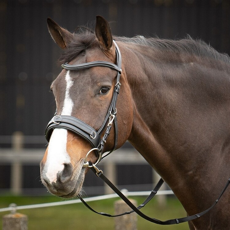 Harry's Horse Kaptoom hoofdstel leder comfort