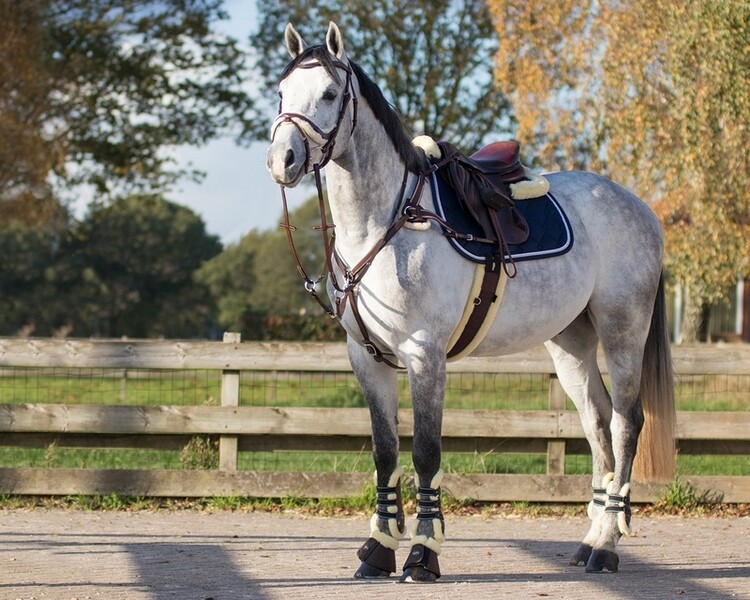 QHP Peesbeschermers Ontario