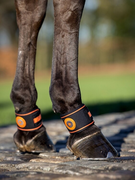 LeMieux Magno Pastern Wrap kootholtebeschermer