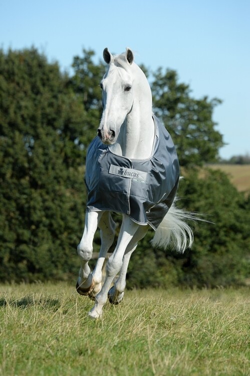 Bucas Smartex Medium