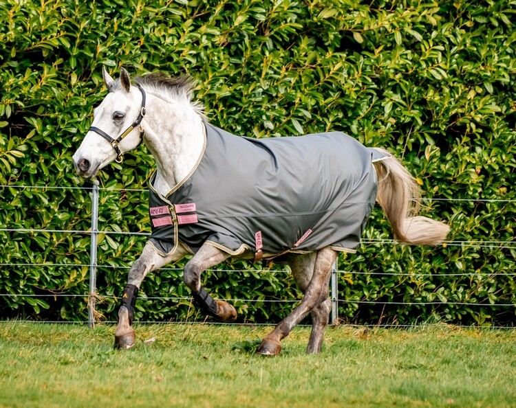 Horseware Amigo Hero Ripstop Lite 0grs Regendeken