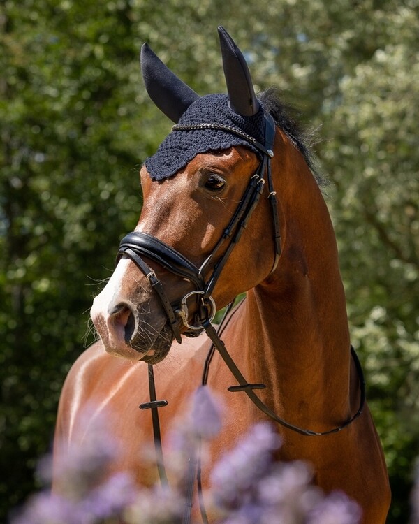 QHP Oornetje Flore soundless