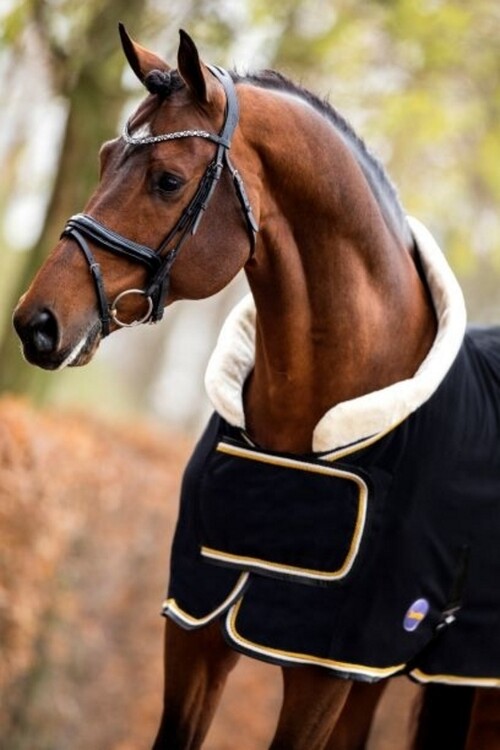 HB Polar 400 Dutch Crown Showdeken