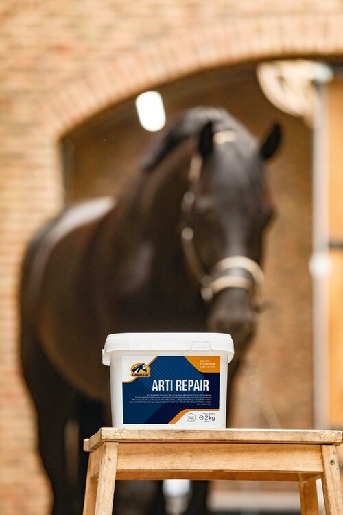 Cavalor Arti Repair 2kg