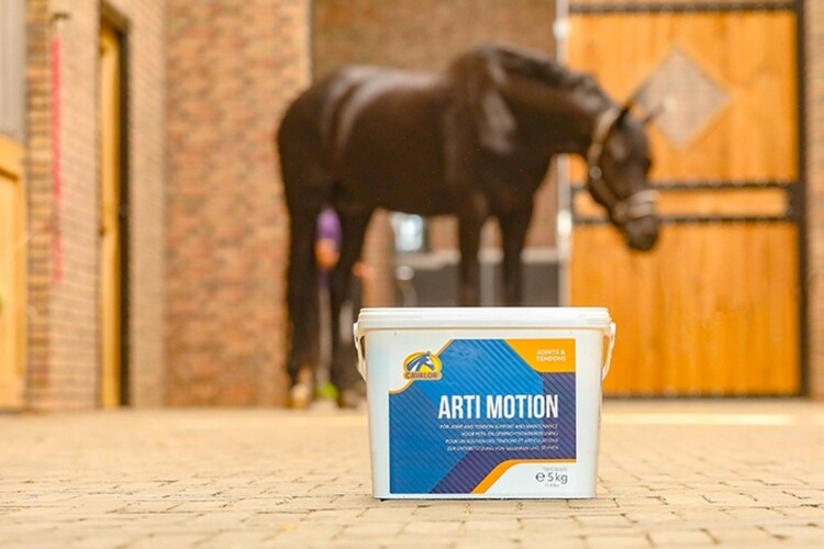 Cavalor Arti Motion 2kg