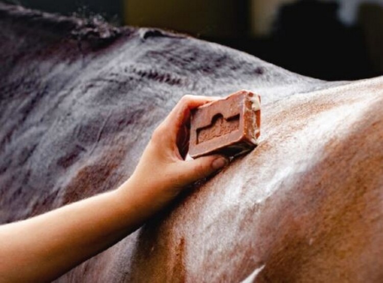 Kevin Bacon's Active Soap 100gr