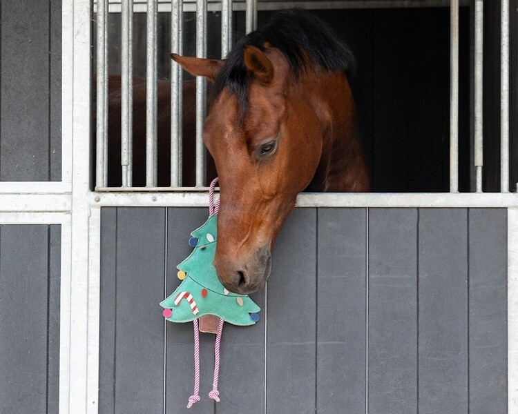 QHP Paardenspeelgoed Kerst